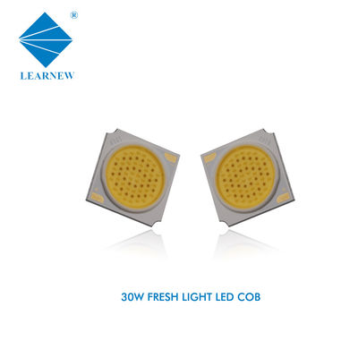 30W 9000-12000K LEDの穂軸は高いCRIの金持ちを着色するビーフのためのLEDの穂軸の破片を欠く