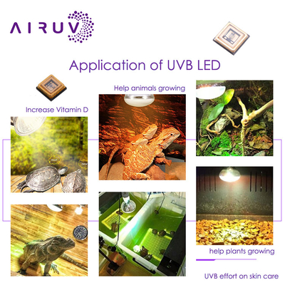 UVA UVB UV LED チップ 3535 3838 2828 1616 1w 3w 10w 50w 100w 200w 300w LED UVC LED チップ