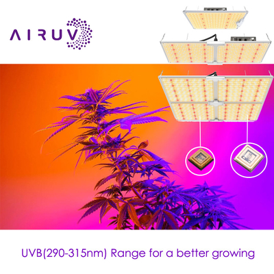 10w 20w 100w UVA UVB UVCLED COB 高効率 365nm 385nm 395nm 費用対効果の高いLED