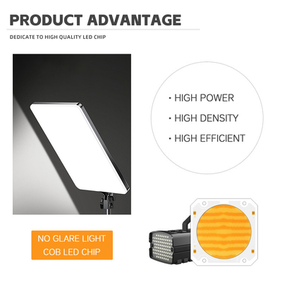 OEM ODM波長 BI カラー 205V smd led チップ ホットホワイト + ホワイト 6060 SMD LED チップ