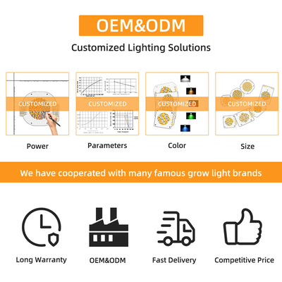 高電力バイカラー 300W 6060 フリップチップ カスタム コブ LEDチップ 商業用 LEDライト ステージライト