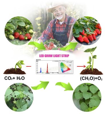 1W SMD 3030 ブルー LED 成長ライトチップ 440-470nm 300mA 3.0-3.4V
