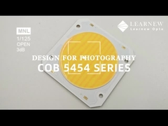 5454 双色温度チップ