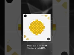 3838 ダブルカラー COB LED